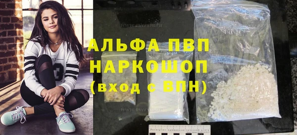 индика Абинск