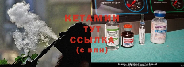 сатива Алексин