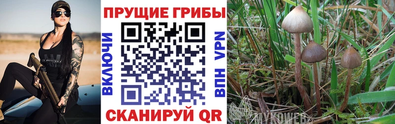 Галлюциногенные грибы Magic Shrooms  Пикалёво 